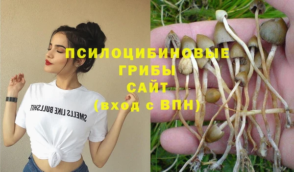 амф Алексин