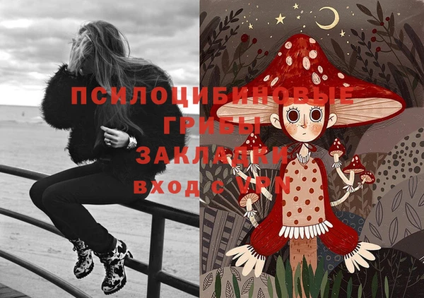 марихуана Абаза