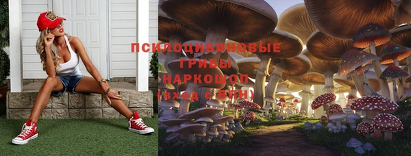 амф Алексин