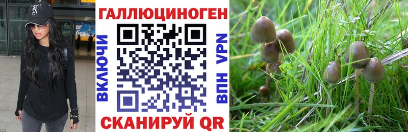 Галлюциногенные грибы прущие грибы  ОМГ ОМГ ССЫЛКА  Ступино 