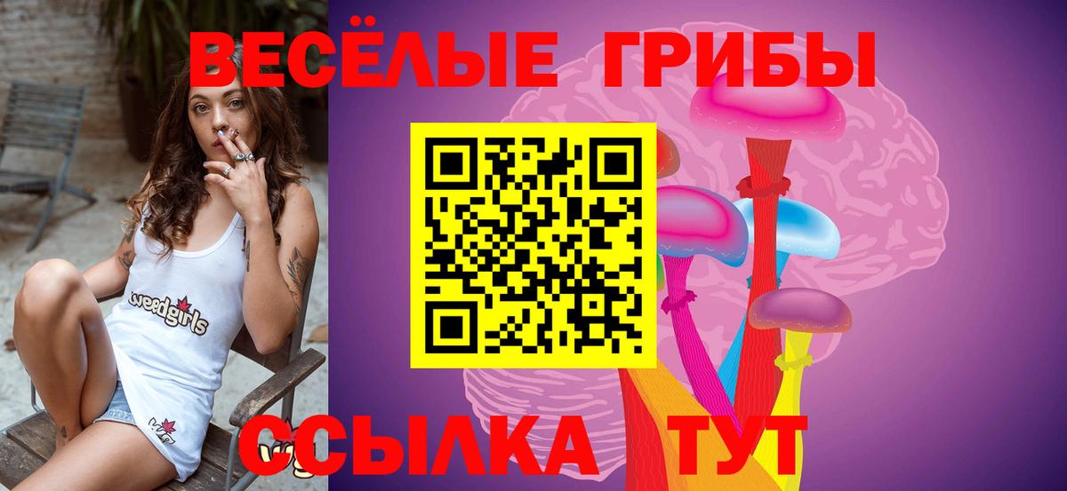 Галлюциногенные грибы Cubensis Ступино