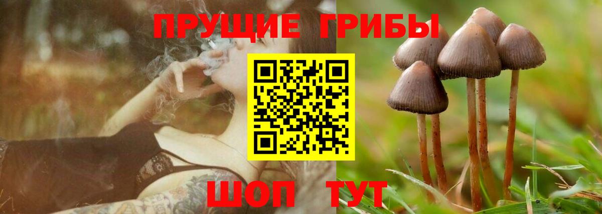 продажа наркотиков  Вход с VPN  Ступино  Галлюциногенные грибы GOLDEN TEACHER 